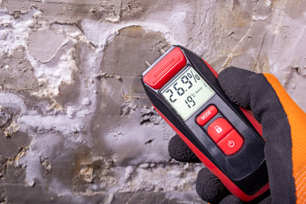 Best Residential Mold Removal  in St Clairsville, OH