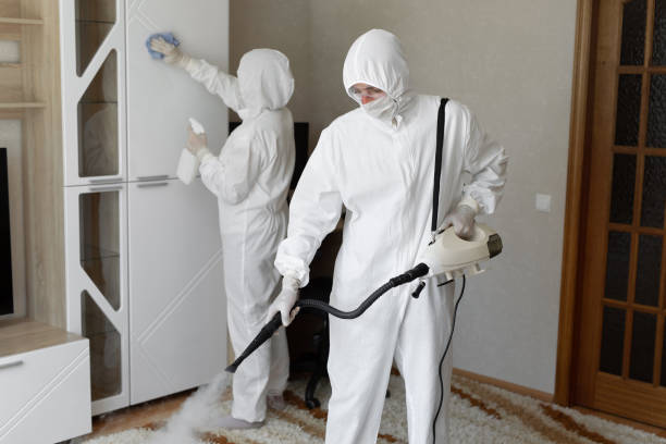Best Office Mold Removal Services  in St Clairsville, OH