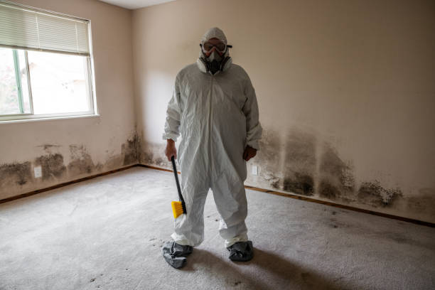 Best Crawl Space Mold Removal  in St Clairsville, OH